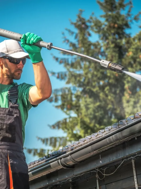 wmremove-transformed